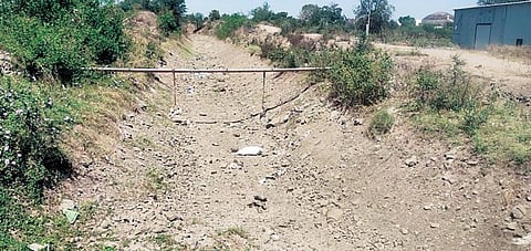 आंबेगाव, शिरूरच्या 45 गावांतील पिके धोक्यात !