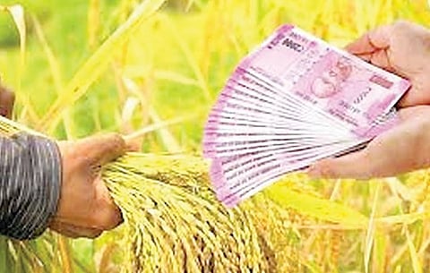 डिसेंबरपर्यंत 5 हजार 763 कोटींचे पीककर्ज; जिल्हाधिकार्यांची माहिती