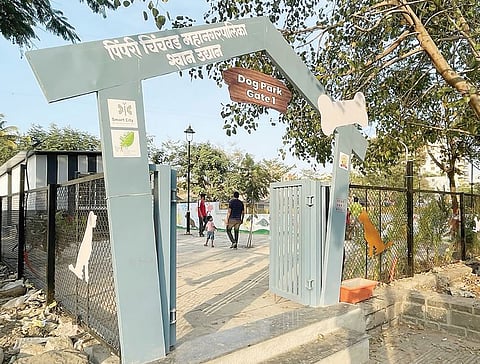 पिंपरीत चक्क ‘डॉग पार्क’!