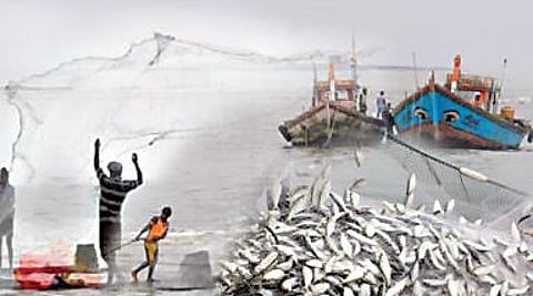 मच्छीमारांच्या मानगुटीवर सौरऊर्जा प्रकल्पाचे भूत : प्रकल्पाला विरोध