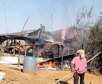 टेकपोळेतील आगीत जनावरांचा गोठा भस्मसात; शेतकरी गंभीर जखमी