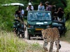 बिबट सफारीमुळे जुन्नर तालुक्याच्या वैभवात भर पडणार : आ. अतुल बेनके