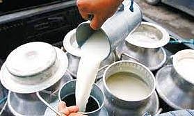 दुधाच्या पाच रुपये अनुदान वाटपाला सुरुवात