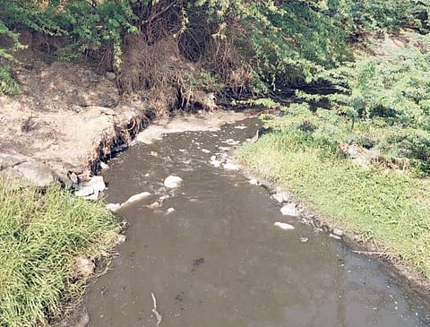 निरा नदी प्रदूषणाचा प्रश्न ‘जैसे थे’ ; नदीकाठच्या गावांना धोका