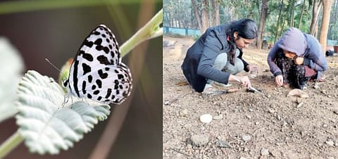 पश्चिम घाटातील 30 हजार जीव-जंतूंच्या डीएनएचे जतन