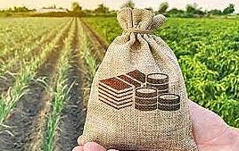 खरीप पीक विम्याचे 2069 कोटी मंजूर..