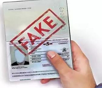 Fraud Case : हिंजवडी पोलिसांकडून 48 बनावट व्हिसा जप्त !