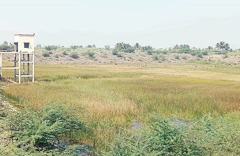 मांडवगण प्रादेशिक योजनेवरील कोट्यवधी पाण्यात : योजनेची दुरवस्था