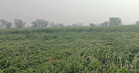 मध्य महाराष्ट्र, मराठवाड्यात अवकाळी; तर विदर्भात गारपीट सुरूच राहणार