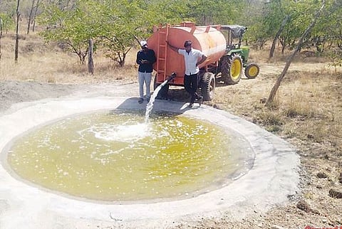 वन्यप्राण्यांची तहान भागविण्यासाठी पाणवठ्यात पाणी