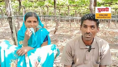 पिंपळगाव बसवंत : दावचवाडी येथील आपल्या द्राक्षबागेत काम करताना पांडुरंग व सविता धुमाळ दाम्पत्य. (छाया : सुरेश पगारे)