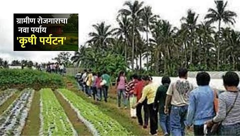 Nashik Krushi News | कृषी पर्यटन ठरतेय शेतकऱ्यांसाठी वरदान