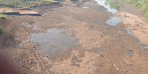 दत्तवाड येथील दूधगंगा नदीचे पात्र कोरडे; शेतकरी हवालदिल