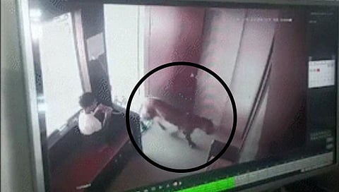 Nashik Leopard News : 12 वर्षाच्या चिमुरड्यानं बिबट्याला कोंडलं, मोहितने दाखवलेल्या धाडसाचं होतय कौतुक