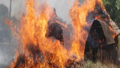 संग्रहित फोटो