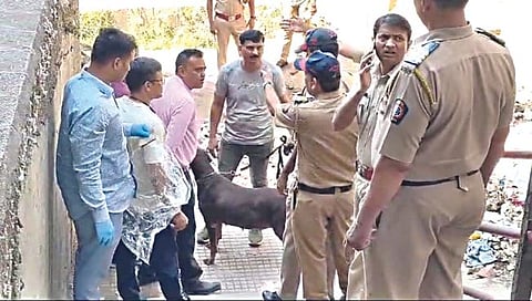 पंचवटी: फिरस्ता व्यक्तीचा खुन झाल्यानंतर घटनास्थळी तपासणी करताना पोलीस (छाया : गणेश बोडके)