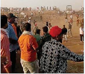 पनवेलमध्ये बैलगाडा शर्यतीदरम्यान तुफान दगडफेक!