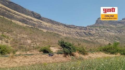 नाशिक : पिण्याच्या पाण्यासाठी वन्यप्राण्यांची वणवण वाढली