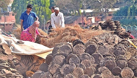 नाशिक : होलिकात्सवासाठी बाजारात मोठ्या प्रमाणावर गोवऱ्या दाखल झाल्या आहेत. (छाया: हेमंत घाेरपडे)