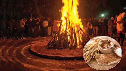 भाजलेले गहू शक्तिशाली अन्न, काय आहेत त्याचे आरोग्यदायी फायदे?