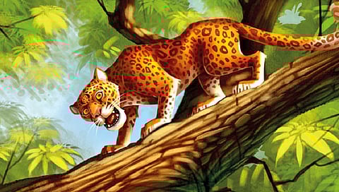 तडका : जा बिबट्यांनो… परत फिरा रे!