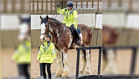 मँचेस्टर पोलिस खात्यात 6 फुटी अश्व!
