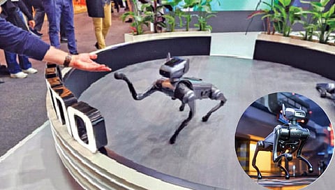 जर्मन शेफर्ड कुत्र्याच्या रूपातील एआय रोबो!