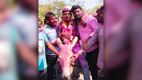 बीडमध्ये अनोखी परंपरा : धुलिवंदन दिवशी जावयाची गाढवावरुन मिरवणूक