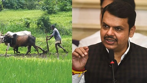 खुशखबर! शेतकऱ्यांना मिळणार दिवसा वीज, २५ हजार रोजगार निर्मिती