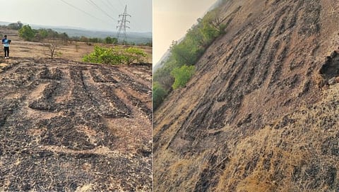 कणकवली तालुक्यात सापडली दोन कातळचित्रे