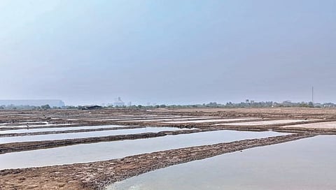 कोकणातील मिठागरे नामशेष होण्याच्या मार्गावर