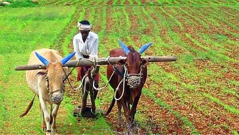 Lok Sabha election 2024 : बळीराजाच्या पदरी दरवेळी केवळ आश्वासनांचा पाऊस!