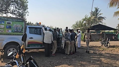 बिबट्या