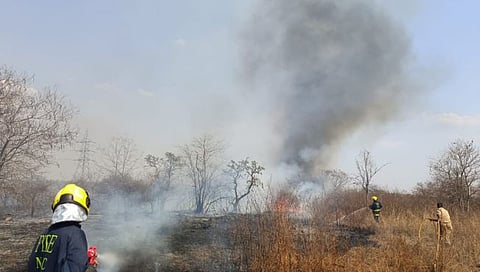 नागपूर: हिंगणा, वाडी परिसरातील बायोडायव्हर्सिटी पार्कला आग