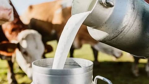 दूध दरामध्ये मोठी घसरण; शेतकर्यांना आर्थिक फटका