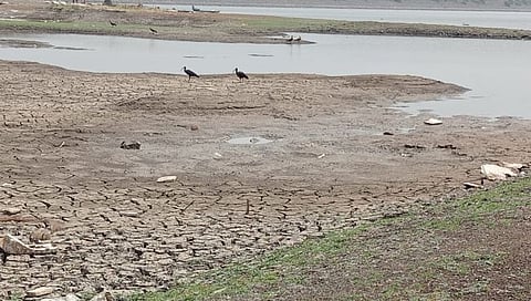 बीड: मनकर्णिका तलावाने तळ गाठला; पिंपळनेरसह १५ गावांना पाणी टंचाईचे चटके