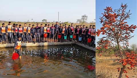 कोल्हापूर : पेठवडगाव येथे १७ एकरावर ५५०० वृक्षांची लागवड; महालक्ष्मी देवराईचा स्तुत्य उपक्रम