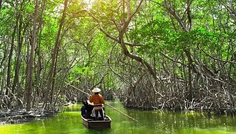 नऊ मतदारांचे पुलोपॅटिया; समुद्रातून २४ तासांचा थरारक प्रवास करून पोहोचतात निवडणूक कर्मचारी