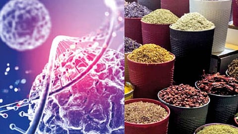 कर्करोगावर ‘नवा मसाला’