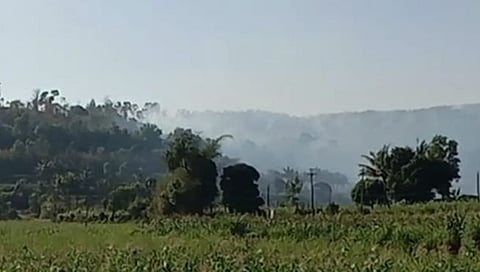 कोल्हापूर : वणवे लागणार… होरपळ होणार… प्रतिबंधाचे काय? धामणी खोऱ्यातील वनसंपदेच्या संवर्धनासाठी उपाययोजना आवश्यक