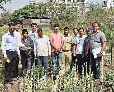 किरकटवाडीत फुलली अफूची शेती; दोघांना अटक