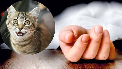 Nagpur News: मांजराने घेतला चावा, मुलाचा काही तासांत मृत्यू