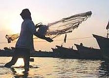 धक्कादायक ! परप्रांतियांकडून मासेमारीसाठी कीटकनाशकांचा वापर