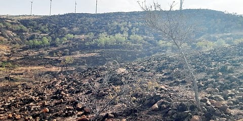 करंजी परिसरात जंगलाला वणवा; नुकसानीबाबत वन विभाग मात्र अनभिज्ञ