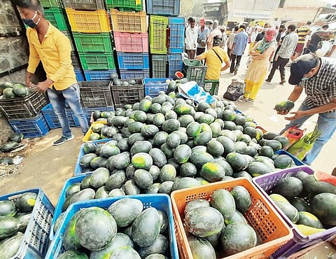 उकाड्यामुळे खरबूज, पपई खातेय भाव; रसदार फळांकडे नागरिकांचा कल
