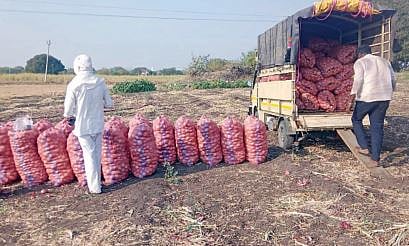 कांद्याच्या अल्पदराने शेतकर्याच्या डोळ्यांत पाणी : उत्पादन खर्चही निघेना