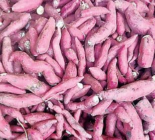 रताळ्यांची 40 ते 70 रुपये किलोने विक्री; महाशिवरात्रीसाठी आवक वाढली