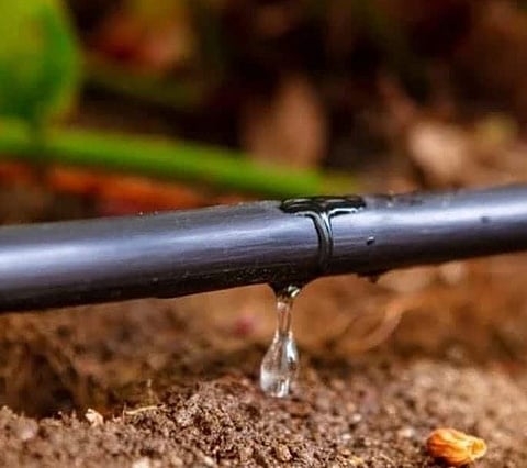 शेतकर्यांचा टाहो : ’ठिबक’चे 400 कोटी कधी मिळणार?