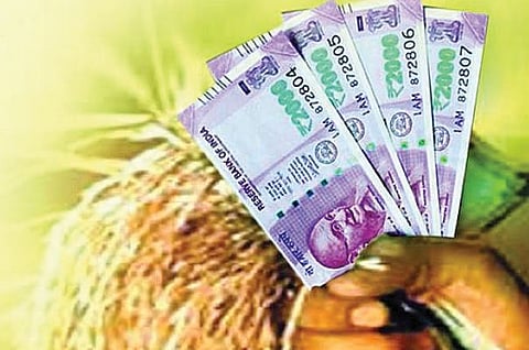 पीक कर्जाची केवळ मुद्दलच वसूल करा : सहकार आयुक्तालयाची सूचना