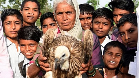 Nashik News | जखमी पक्ष्यांना नवी भरारी देणारी नांदूरची ‘आक्का’, ५० वर्षांत शेकडो जखमी पक्ष्यांना दिलं जीवदान